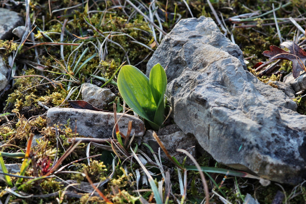 2014_03_08_00036917p_Bildgr��e �ndern