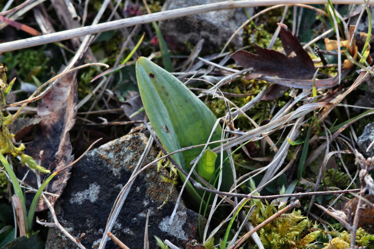 2014_03_08_00036920p_Bildgr��e �ndern