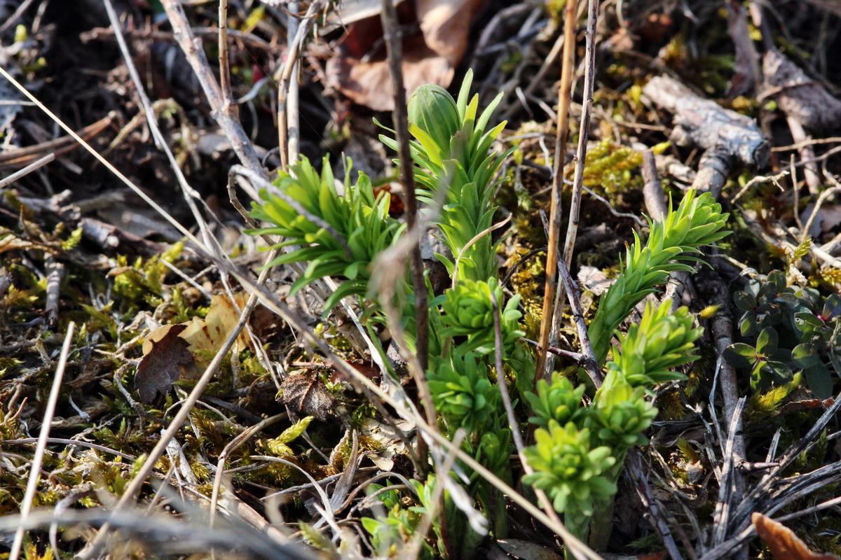 2014_03_08_00036921p_Bildgr��e �ndern