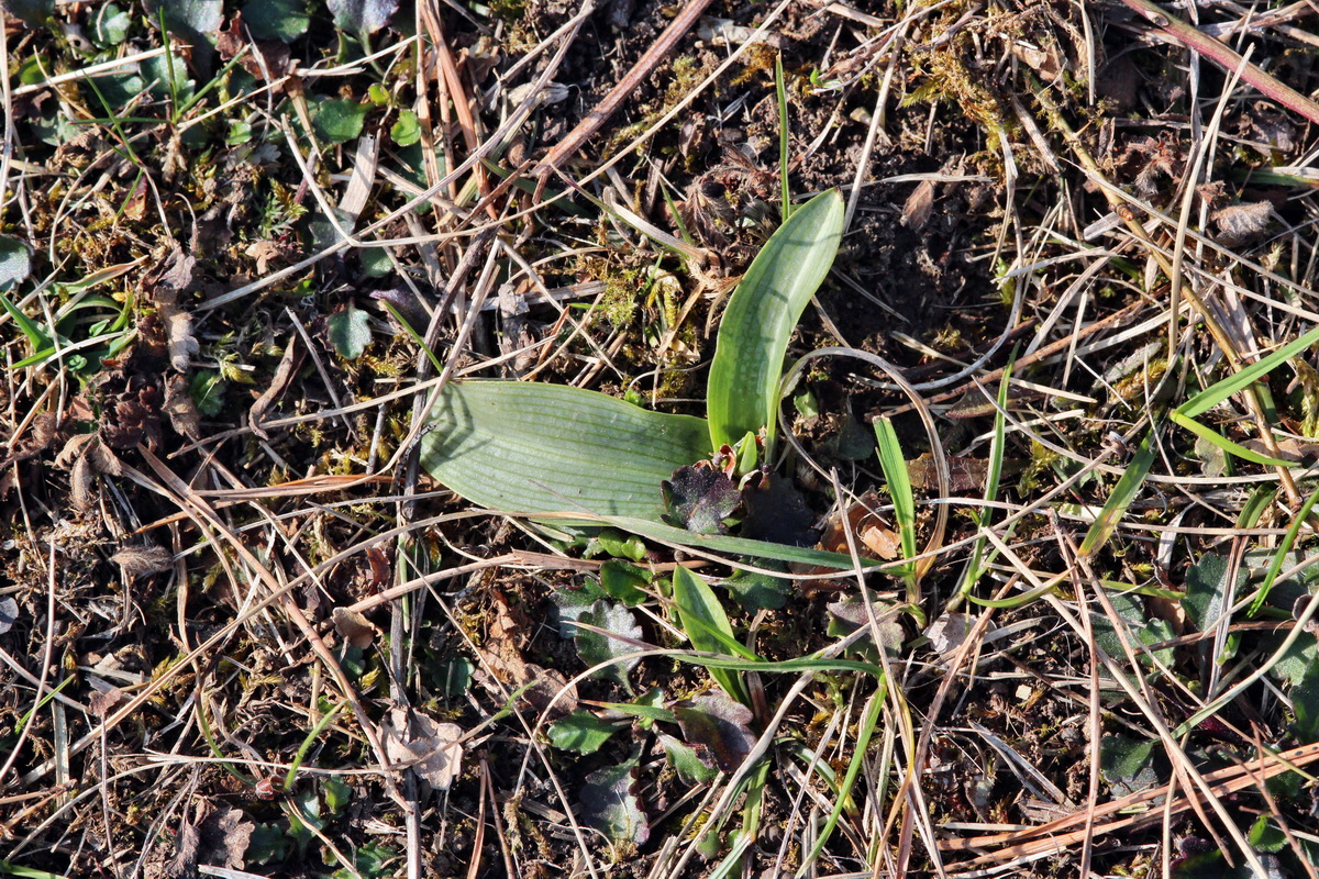 2014_03_08_00036925p_Bildgr��e �ndern