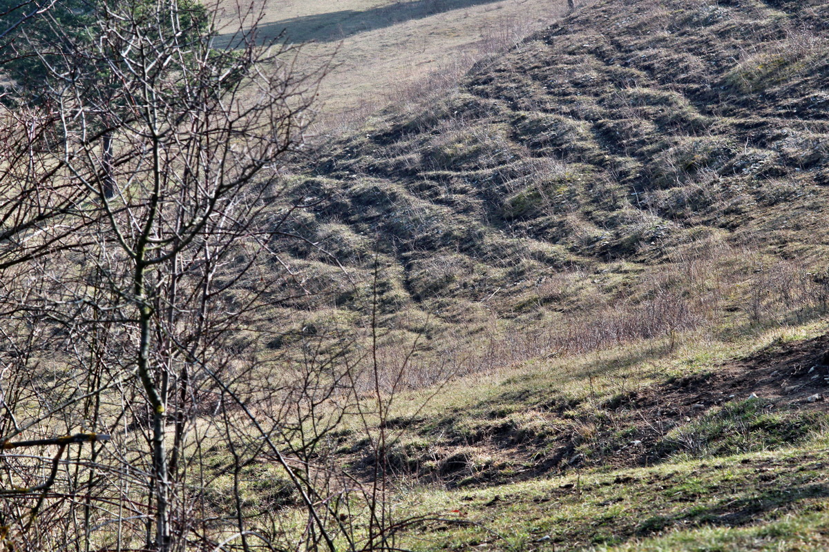 2014_03_08_00036927p_Bildgr��e �ndern