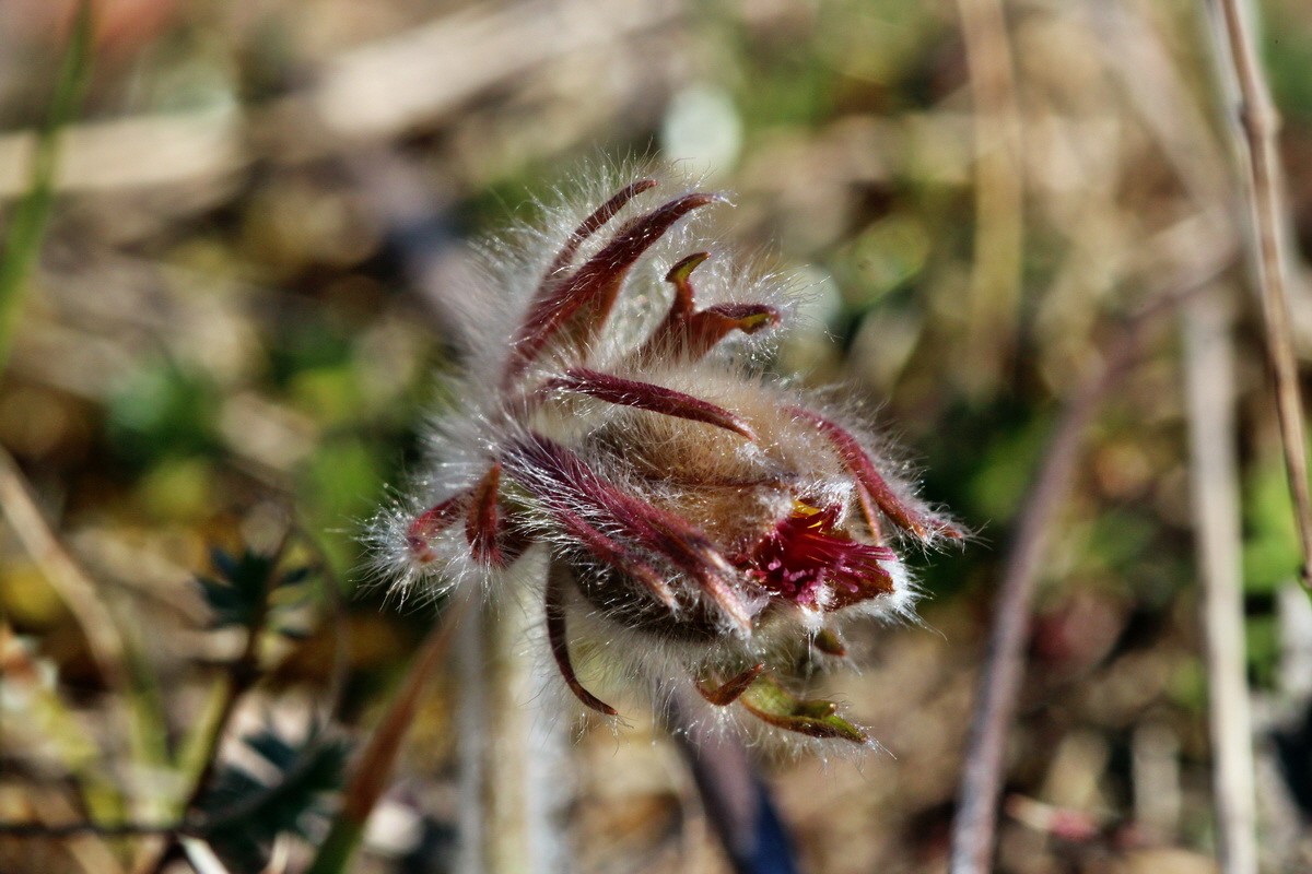 2014_03_10_00036955p_Bildgr��e �ndern