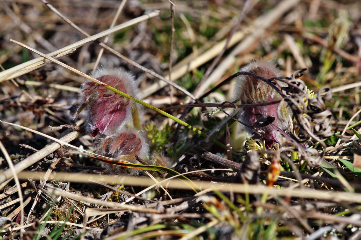 2014_03_10_00036958p_Bildgr��e �ndern