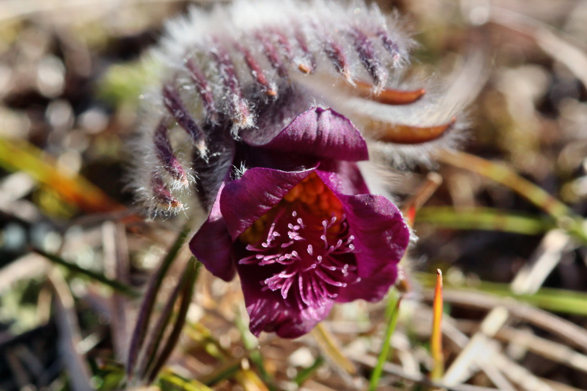 2014_03_10_00036963p_Bildgr��e �ndern