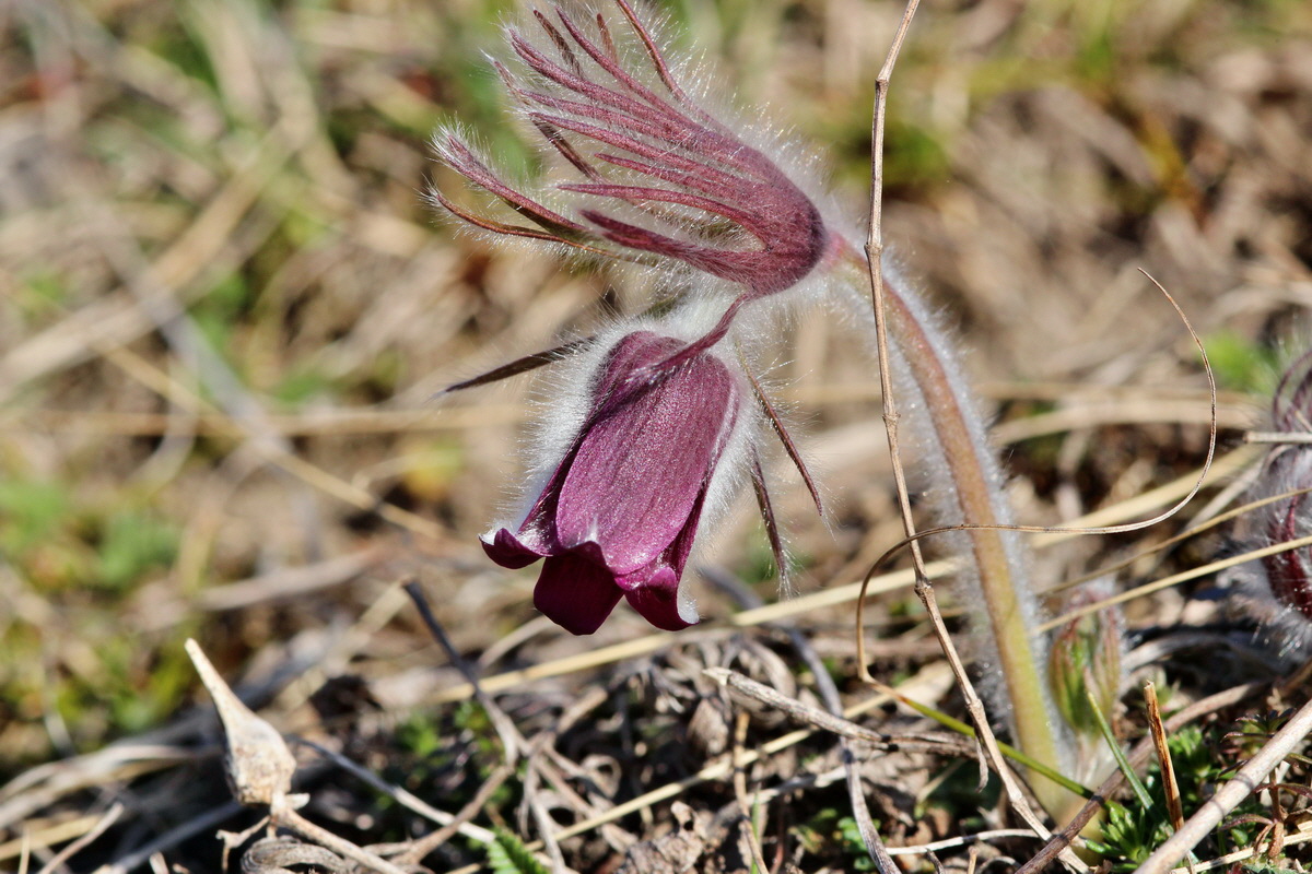 2014_03_10_00036967p_Bildgr��e �ndern