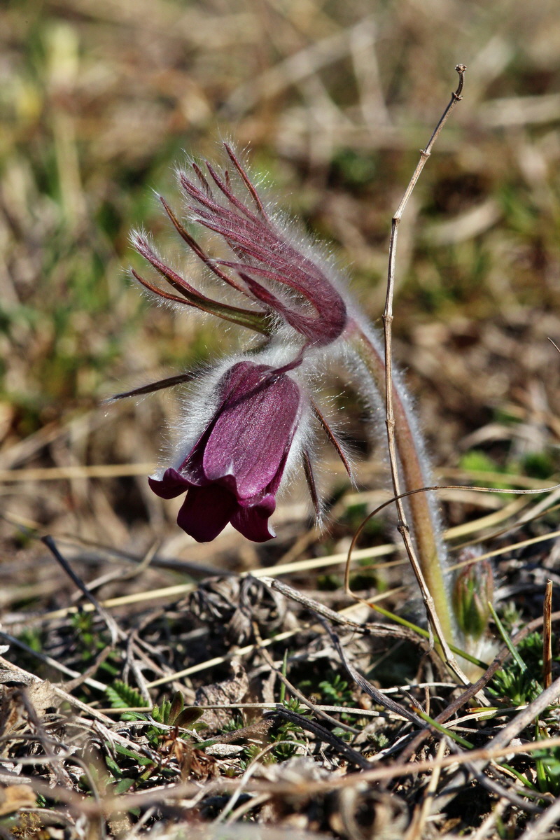 2014_03_10_00036969p_Bildgr��e �ndern