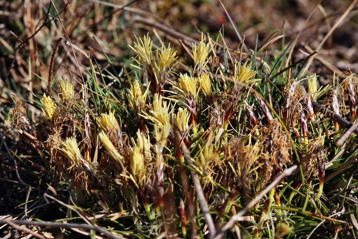 2014_03_10_00036973p_Bildgr��e �ndern