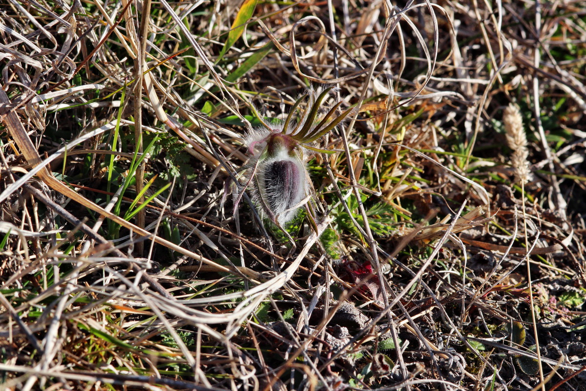 2014_03_10_00036988p_Bildgr��e �ndern