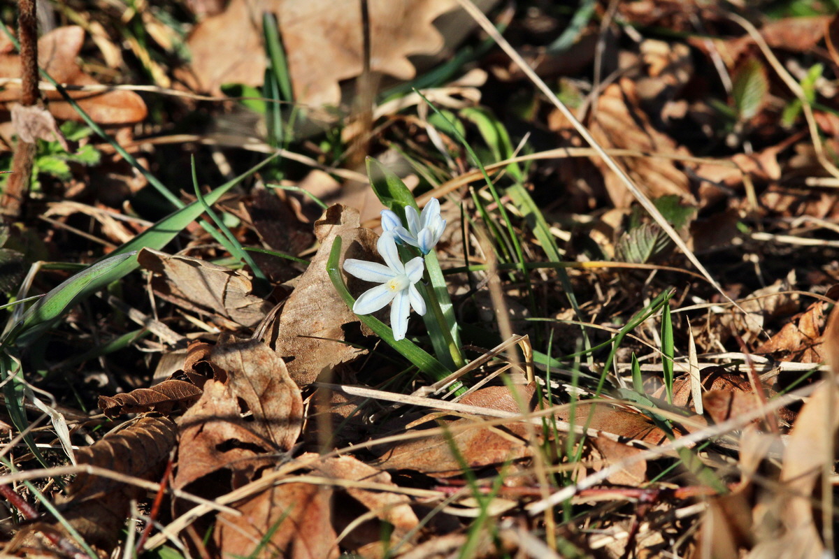 2014_03_10_00037001p_Bildgr��e �ndern