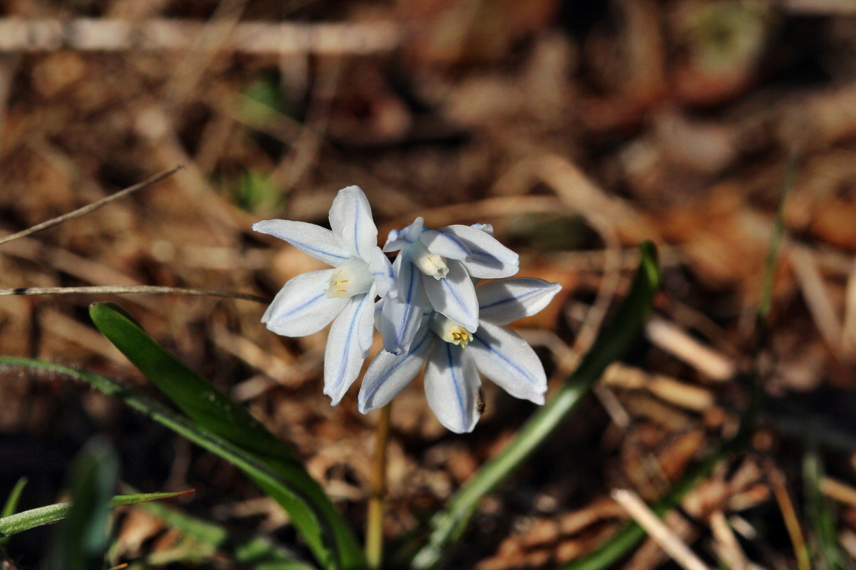 2014_03_10_00037004p_Bildgr��e �ndern