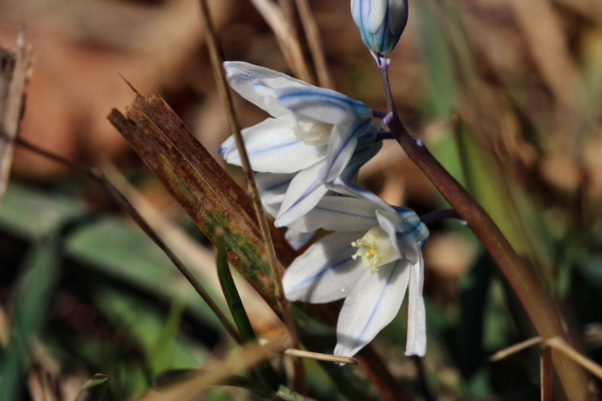 2014_03_10_00037007p_Bildgr��e �ndern