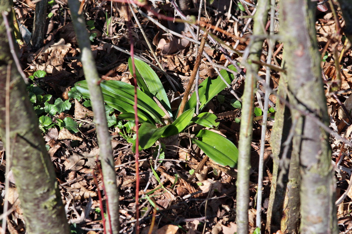 2014_03_10_00037008p_Bildgr��e �ndern