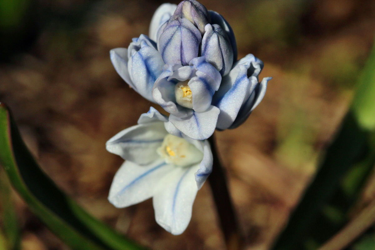 2014_03_10_00037010p_Bildgr��e �ndern