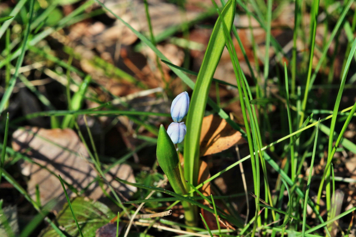 2014_03_10_00037014p_Bildgr��e �ndern