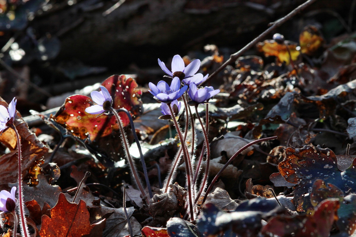 2014_03_10_00037020p_Bildgr��e �ndern