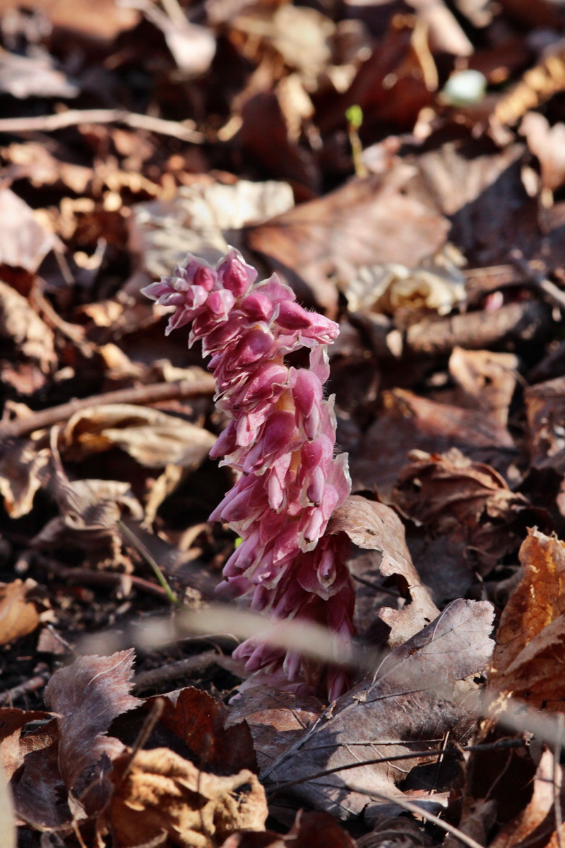 2014_03_10_00037083p_Bildgr��e �ndern