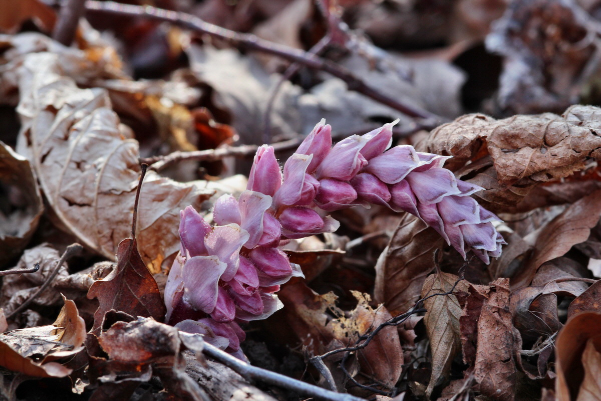 2014_03_10_00037098p_Bildgr��e �ndern