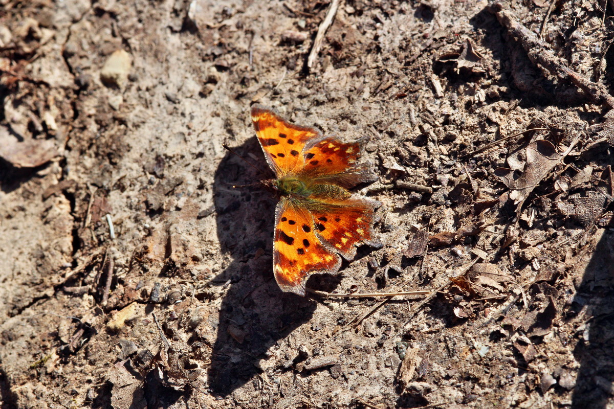 2014_03_10_00037122p_Bildgr��e �ndern