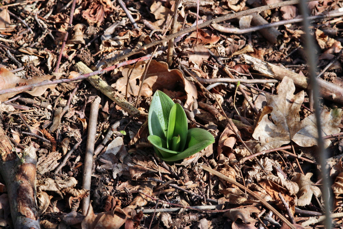 2014_03_10_00037129p_Bildgr��e �ndern