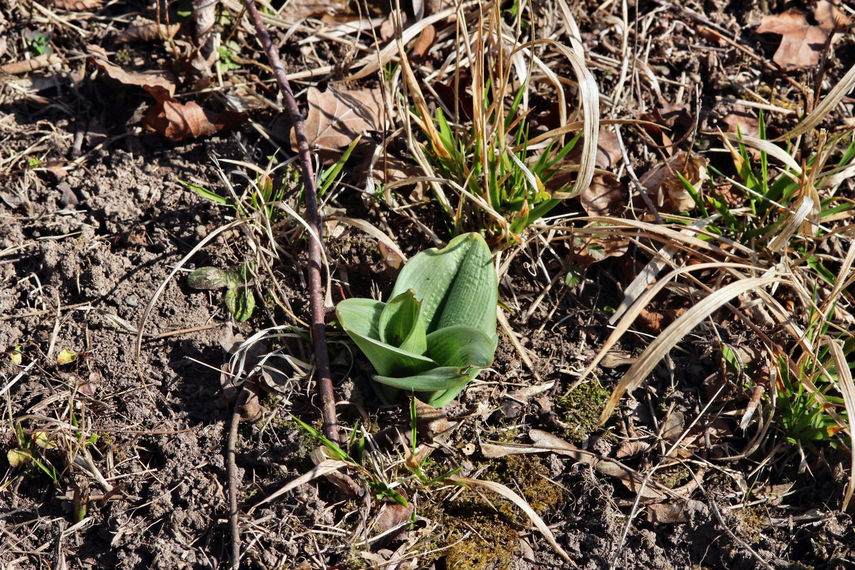 2014_03_10_00037141p_Bildgr��e �ndern