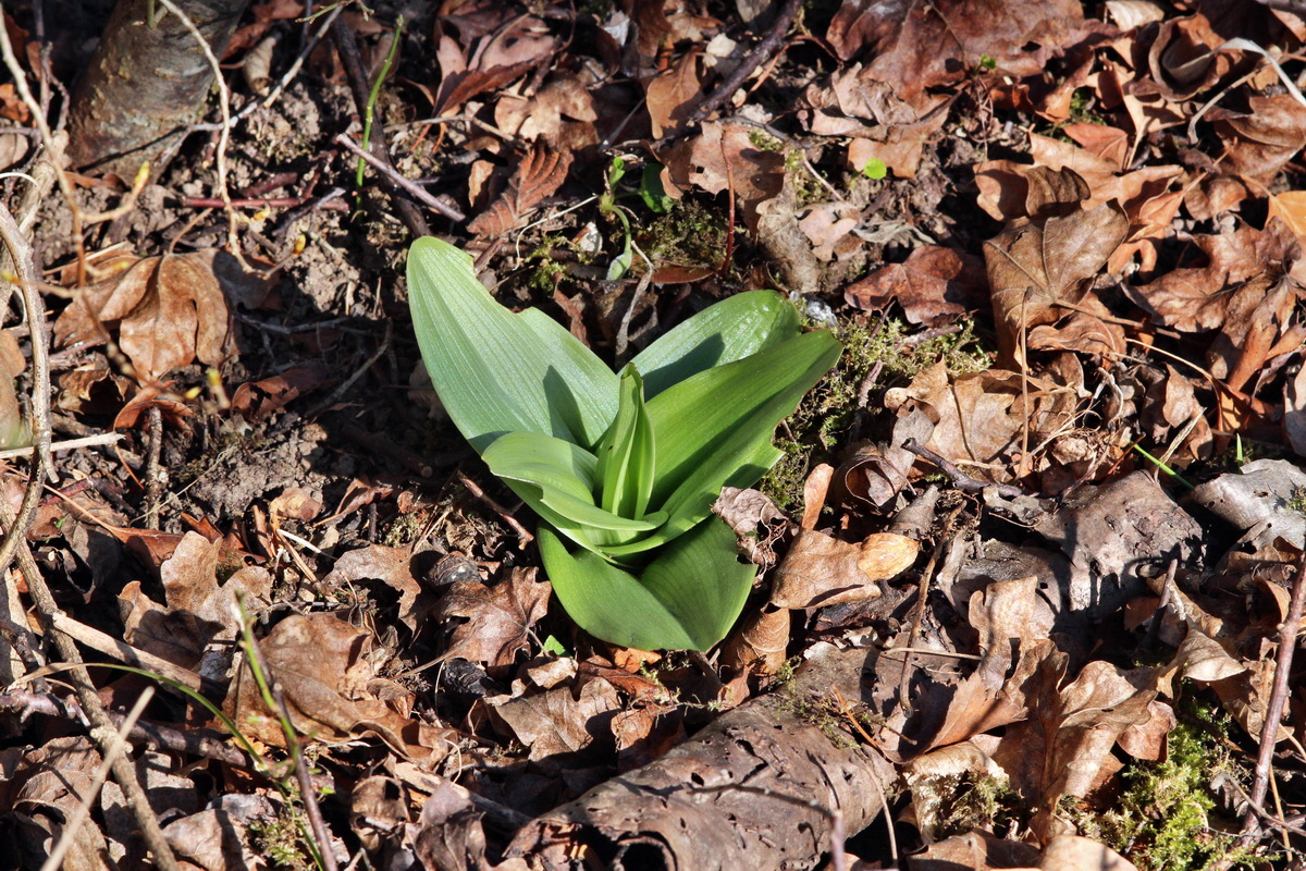 2014_03_10_00037148p_Bildgr��e �ndern