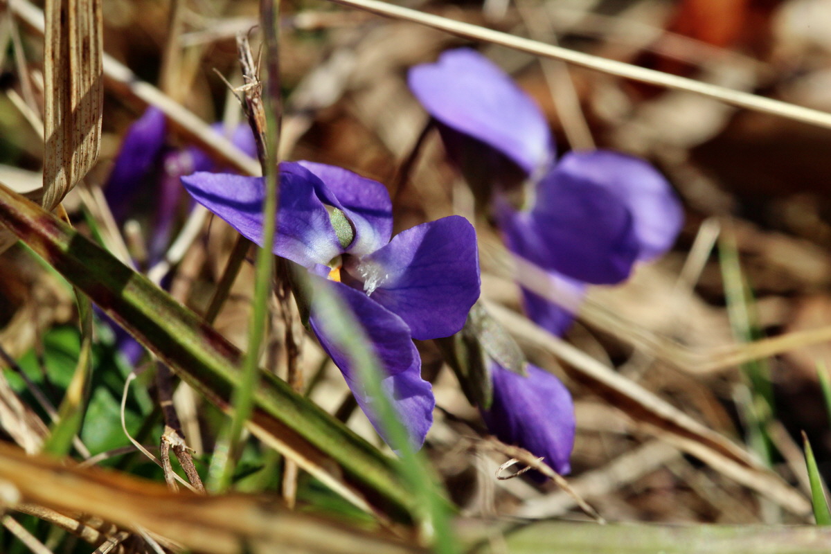 2014_03_10_00037150p_Bildgr��e �ndern