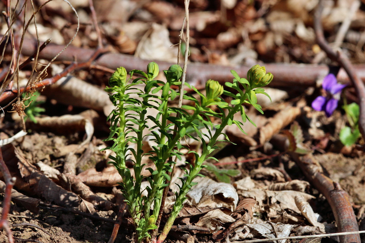 2014_03_10_00037154p_Bildgr��e �ndern