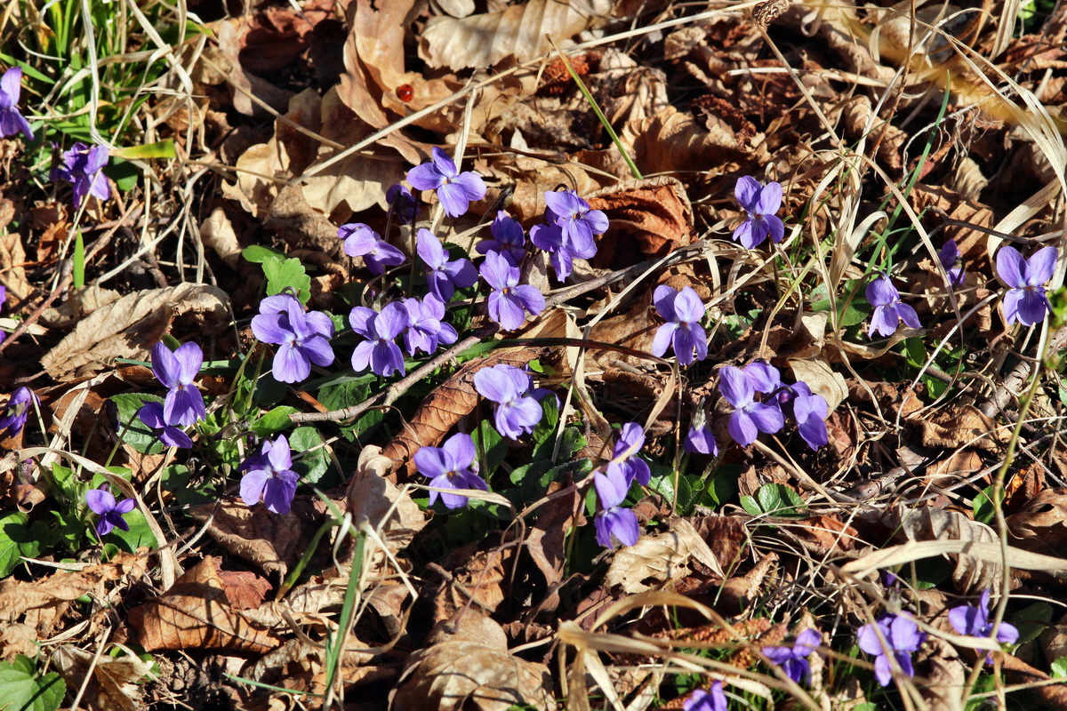 2014_03_10_00037160p_Bildgr��e �ndern