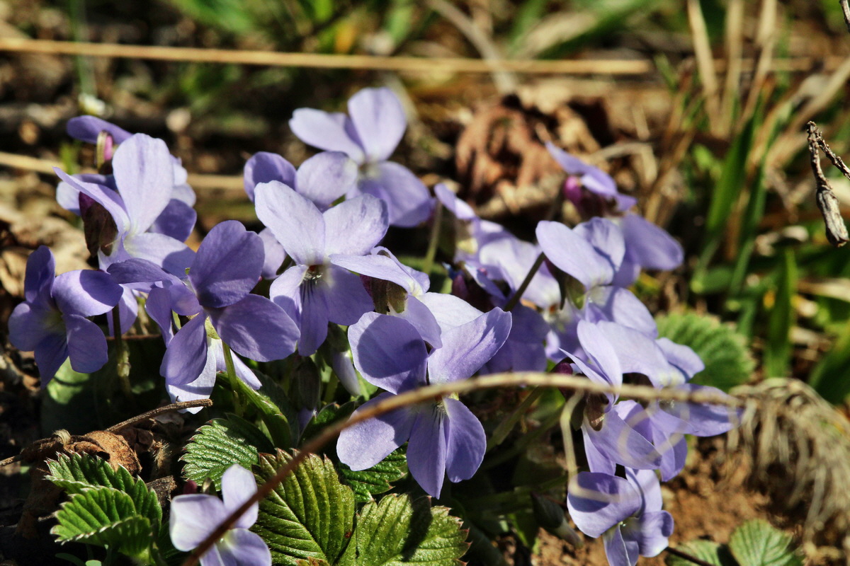 2014_03_10_00037165p_Bildgr��e �ndern