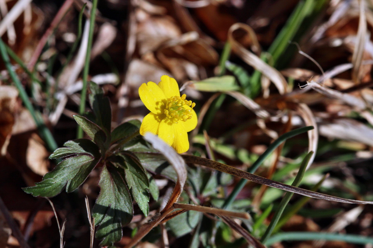 2014_03_10_00037181p_Bildgr��e �ndern