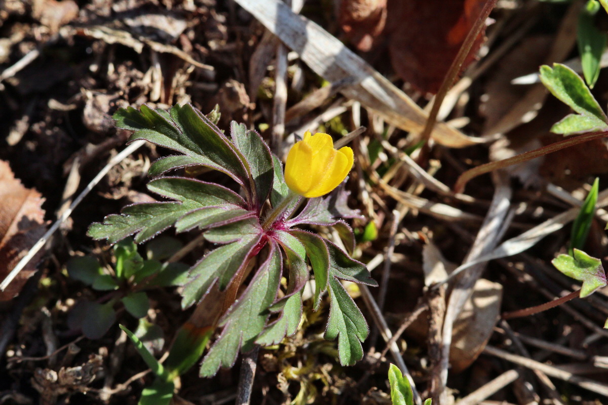 2014_03_10_00037185p_Bildgr��e �ndern