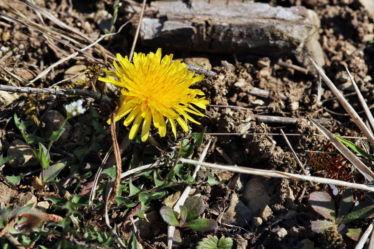 2014_03_10_00037188p_Bildgr��e �ndern