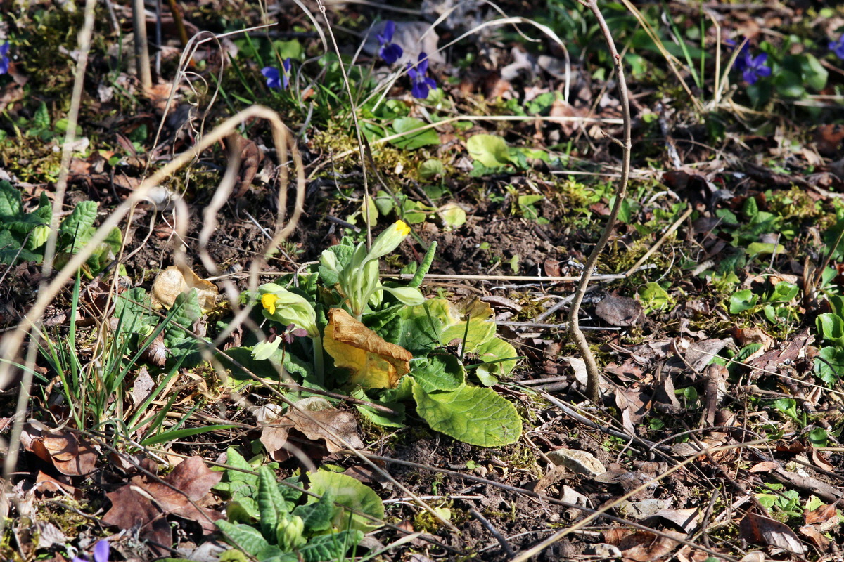 2014_03_10_00037199p_Bildgr��e �ndern