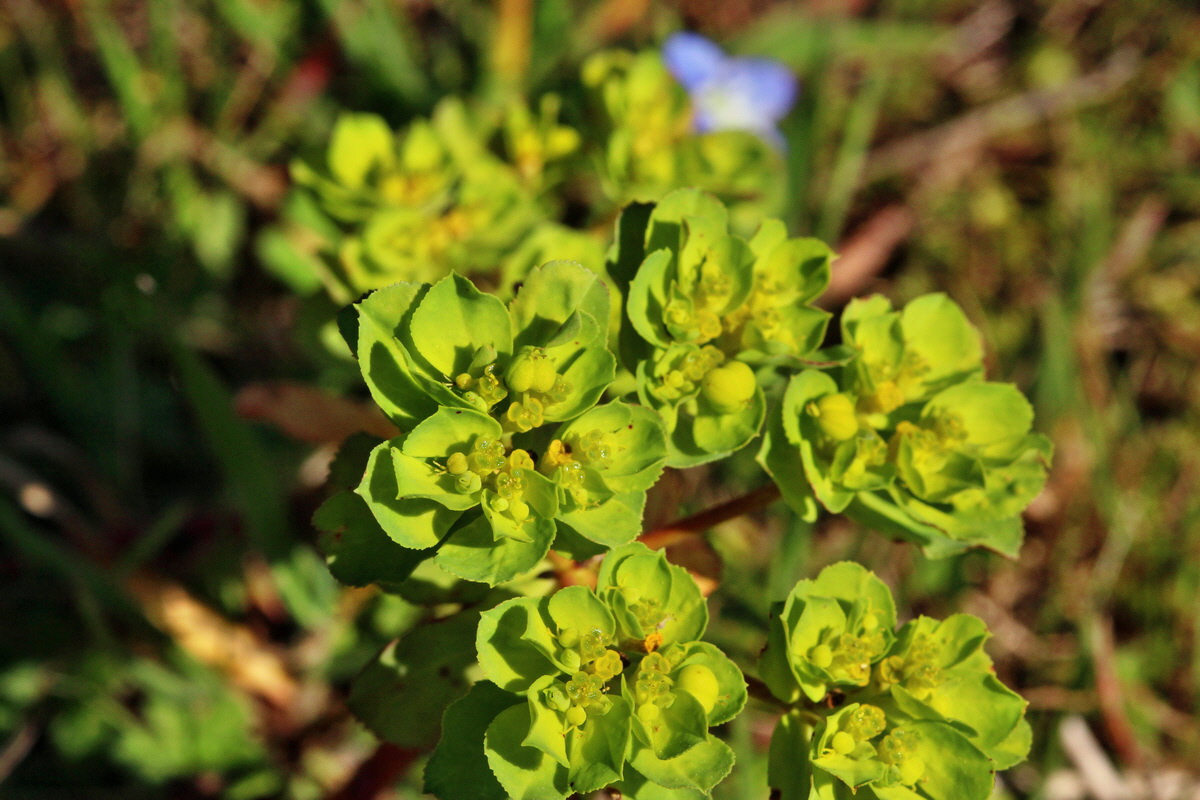 2014_03_10_00037201p_Bildgr��e �ndern