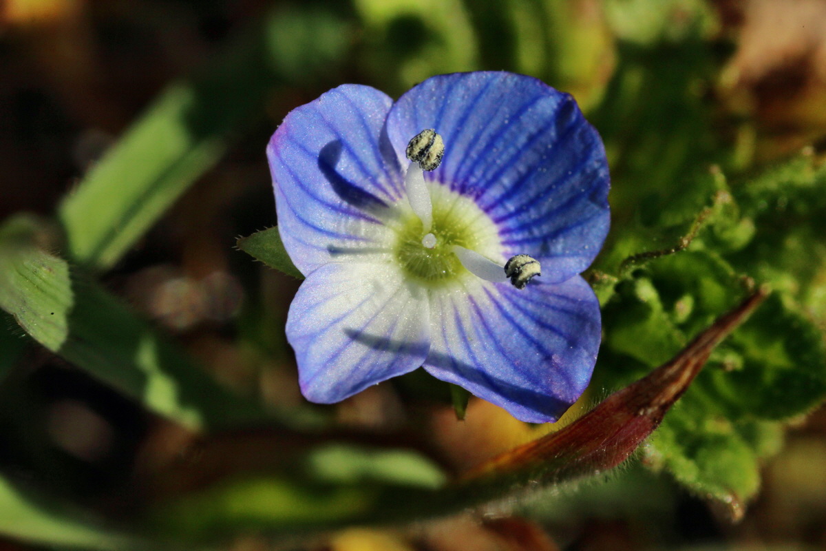 2014_03_10_00037208p_Bildgr��e �ndern