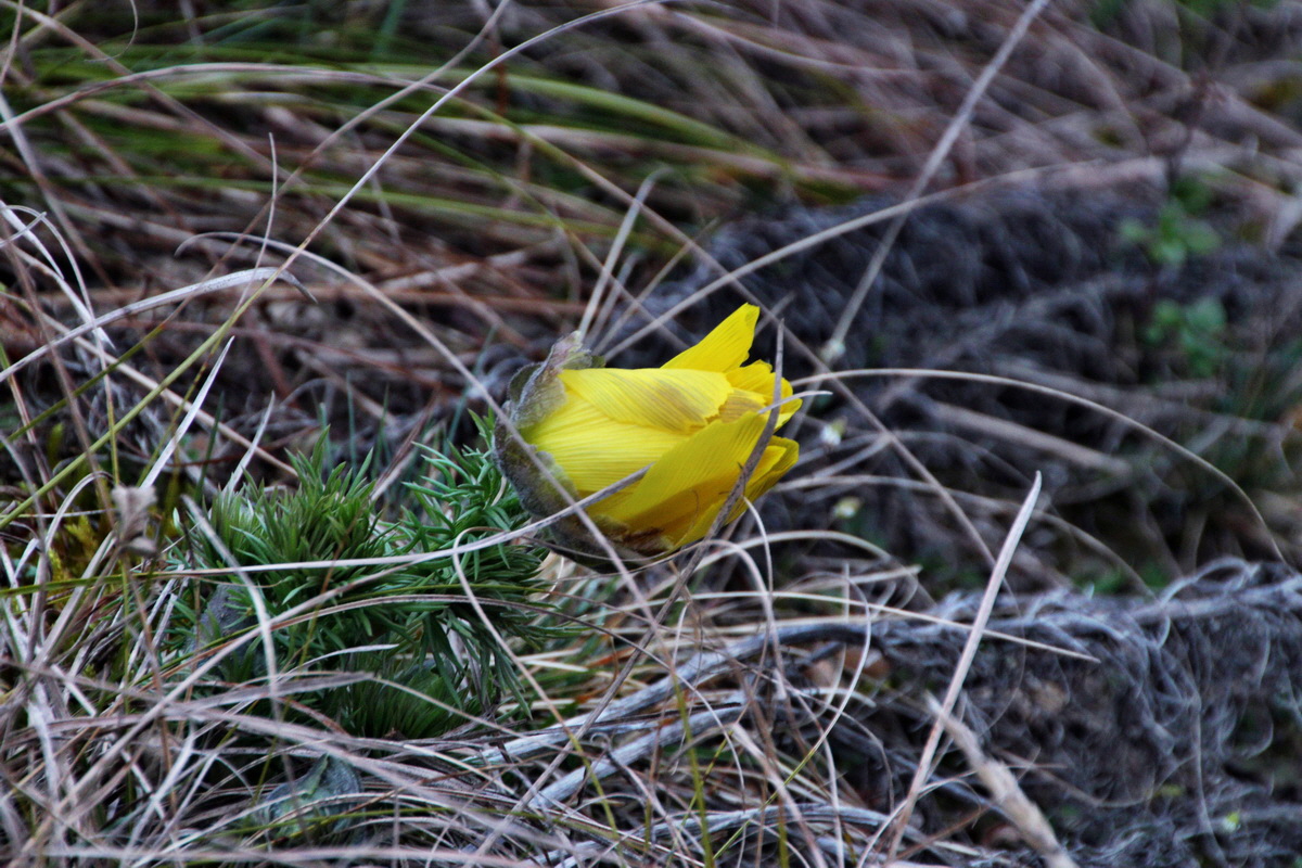 2014_03_11_00037215p_Bildgr��e �ndern