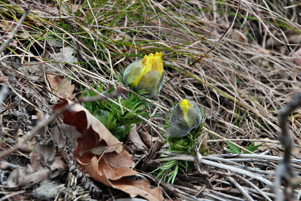 2014_03_11_00037223p_Bildgr��e �ndern