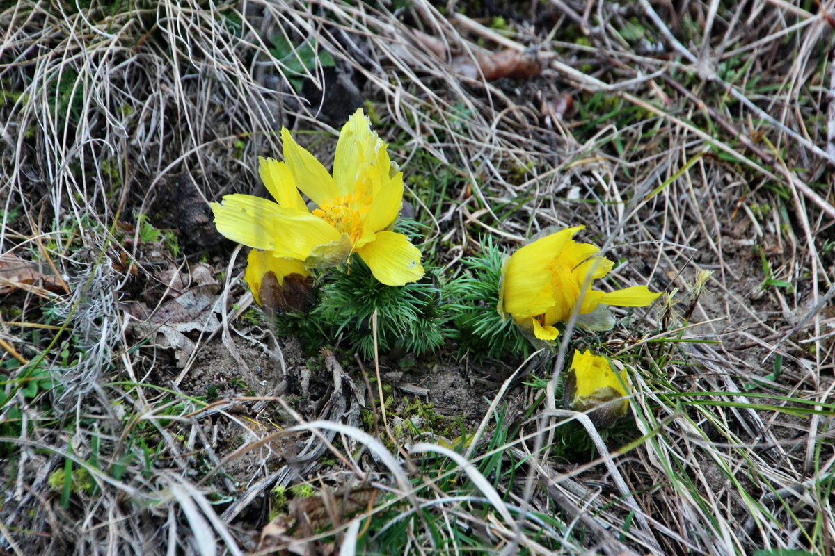 2014_03_11_00037227p_Bildgr��e �ndern