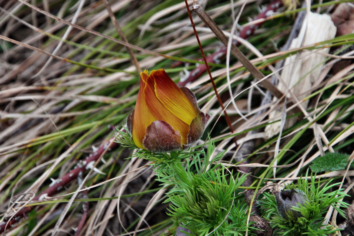 2014_03_11_00037228p_Bildgr��e �ndern