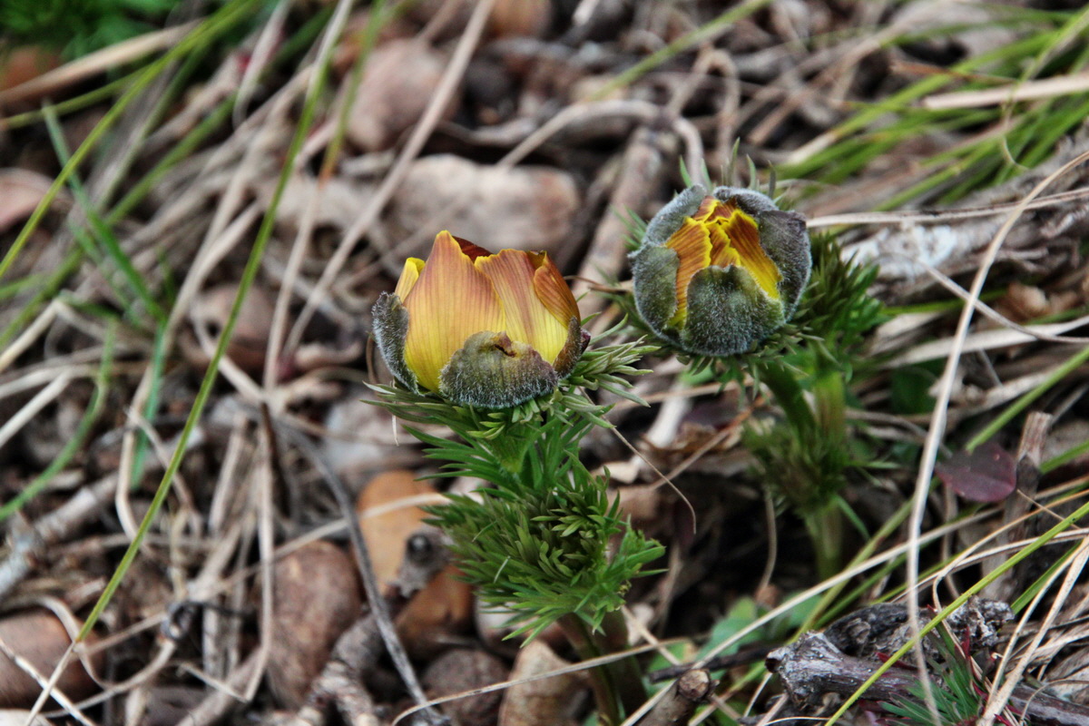 2014_03_11_00037230p_Bildgr��e �ndern