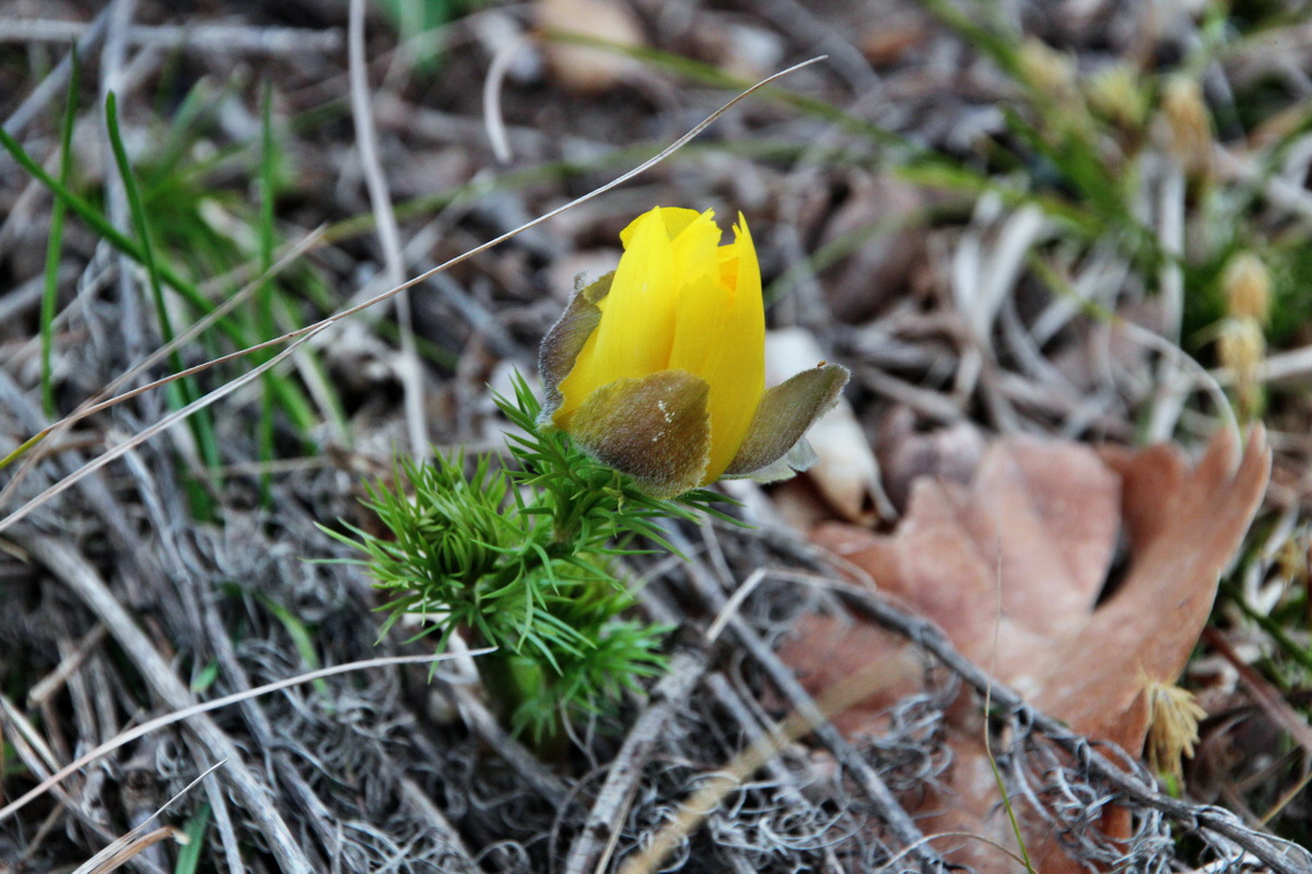 2014_03_11_00037234p_Bildgr��e �ndern