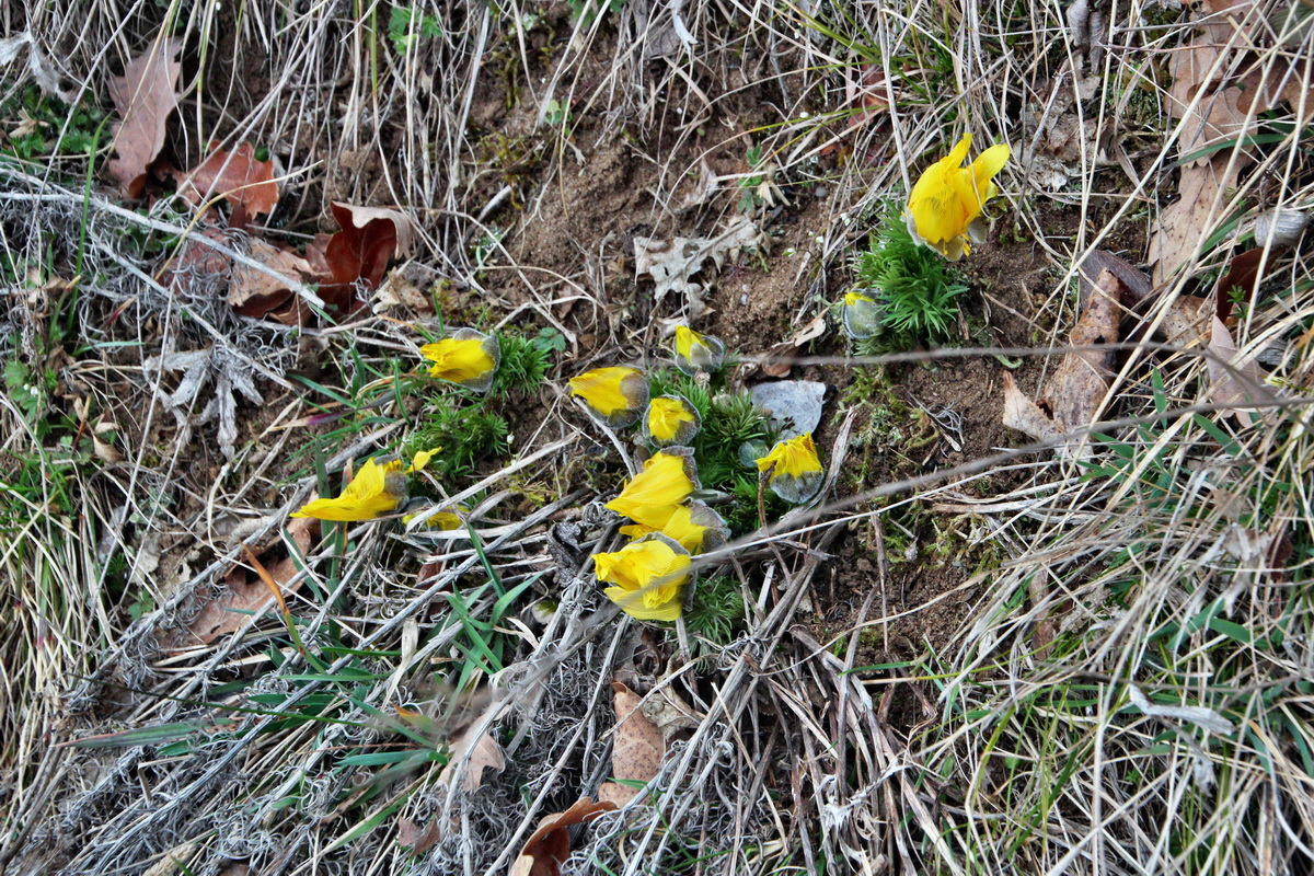 2014_03_11_00037255p_Bildgr��e �ndern