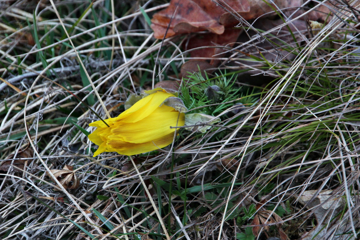 2014_03_11_00037256p_Bildgr��e �ndern