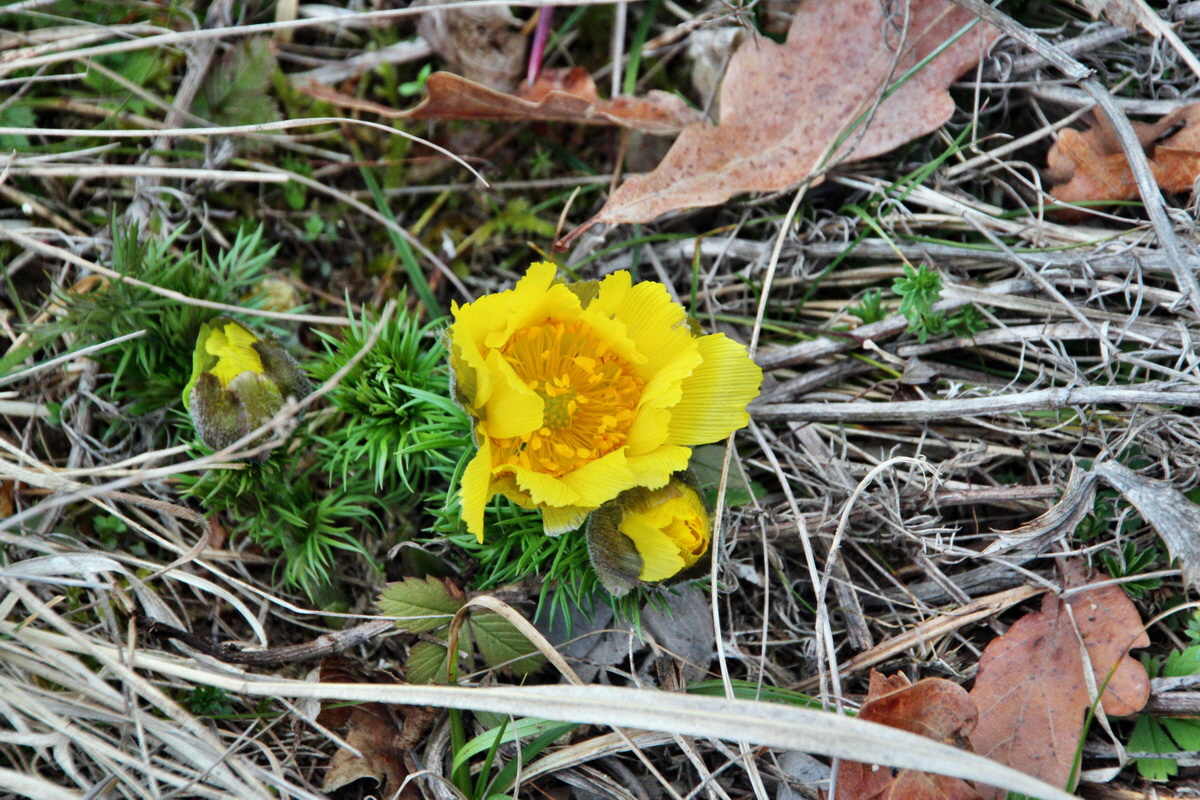 2014_03_11_00037259p_Bildgr��e �ndern