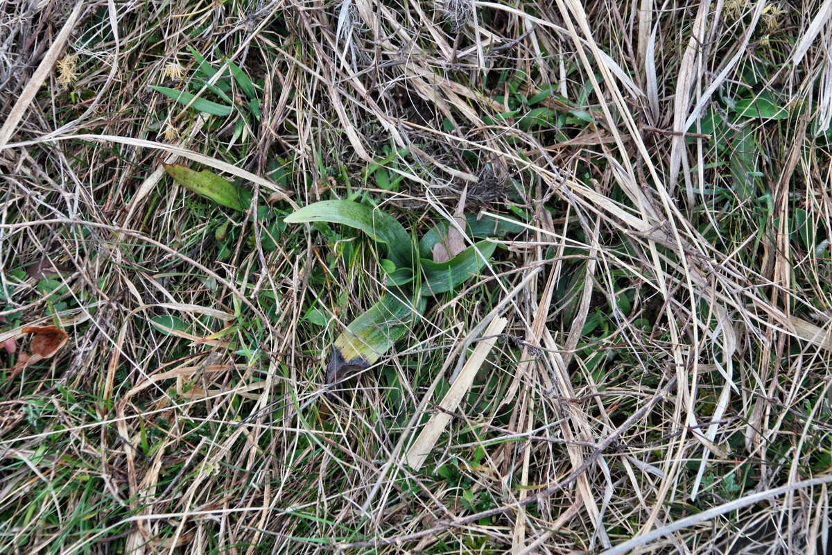 2014_03_11_00037262p_Bildgr��e �ndern