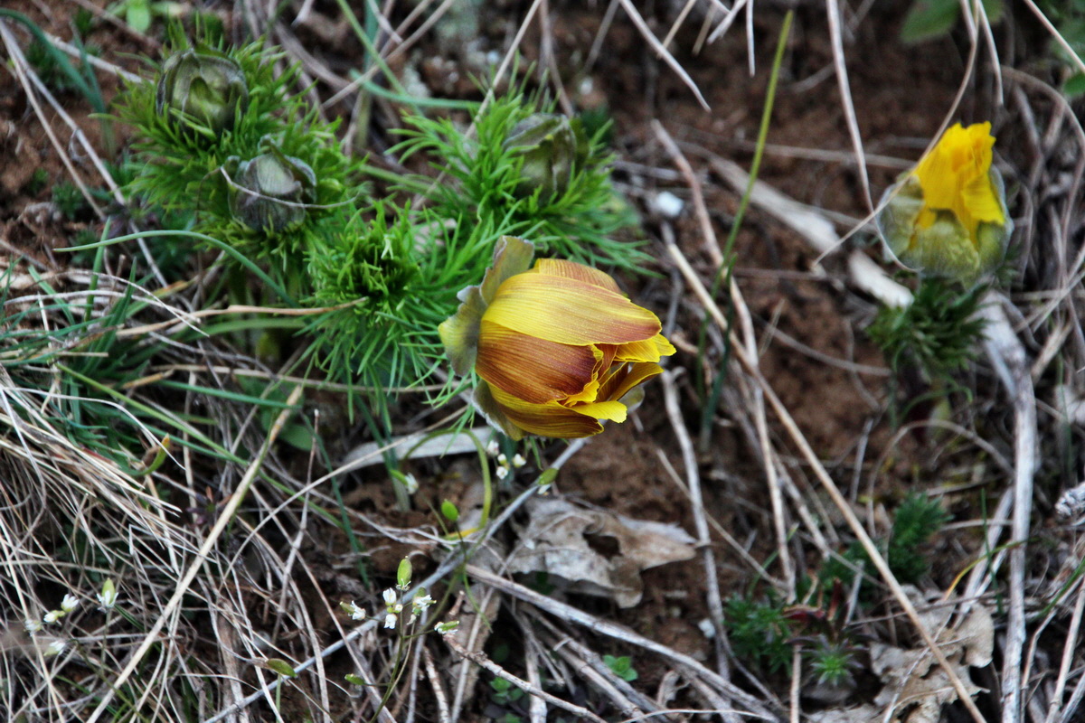 2014_03_11_00037265p_Bildgr��e �ndern