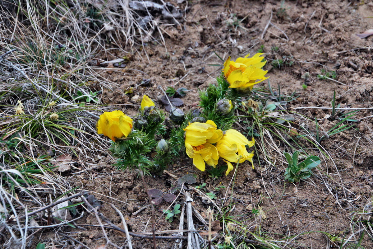 2014_03_11_00037278p_Bildgr��e �ndern