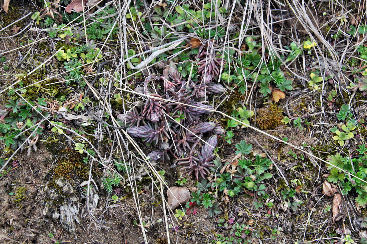 2014_03_11_00037282p_Bildgr��e �ndern