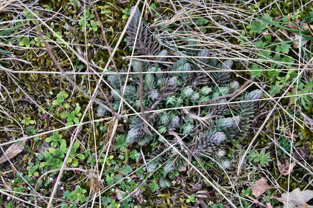 2014_03_11_00037289p_Bildgr��e �ndern