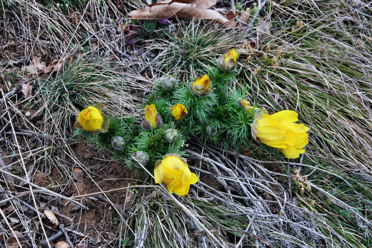 2014_03_11_00037291p_Bildgr��e �ndern